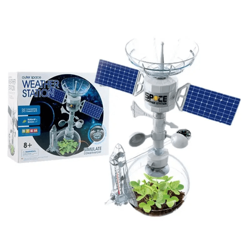 Weather Station Educational Kit - Bright Yellow Fox