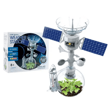 Weather Station Educational Kit - Bright Yellow Fox